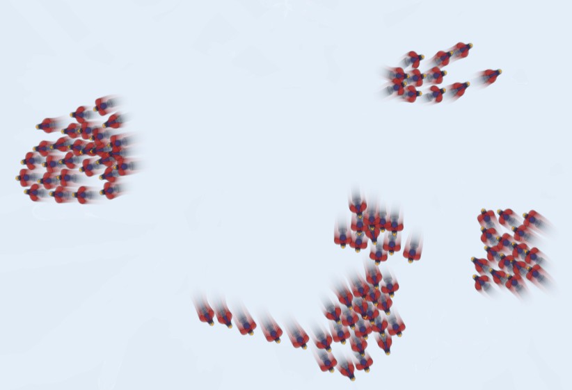 Murmuration NFT